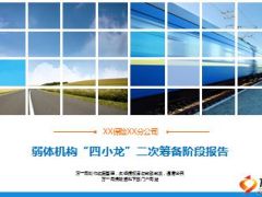 分公司弱体机构重筹项目阶段报告20页.ppt