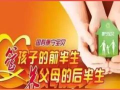 国寿康宁宝贝重大疾病两全保险介绍宣导截图格式13页.ppt