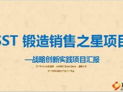银保锻造销售之星SST项目意义内容推动17页.ppt