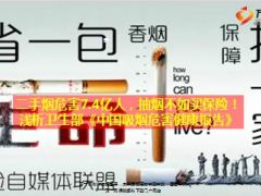 二手烟危害7亿人抽烟不如买保险11页.ppt