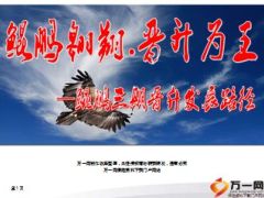鲲鹏发展路径晋升为王工作介绍22页.ppt
