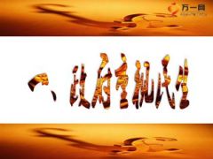 体疗产说会项目介绍102页.ppt