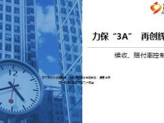 团险个险银保续收赔付率控制工作汇报25页.ppt