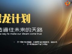 五年人力发展规划报告分享25页.ppt