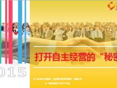 自主经营代理人创业的秘意义关键衡量推动17页.ppt