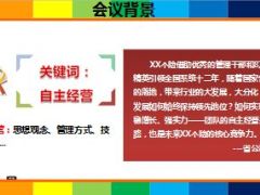 自主经营推广会会议流程22页.ppt