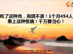 警惕因食用被布鲁氏菌污染未熟透的羊牛肉而染上布鲁氏菌病11页.ppt