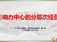 精英分享影响力中心的分层次经营含备注20页.ppt