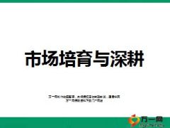 市场培育与深耕客户培养开发38页.ppt