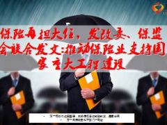 发改委保监会联合发文推动保险业支持国家重大工程建设11页.ppt