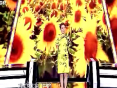 视频无臂美女雷庆瑶演讲变美的权利.rar