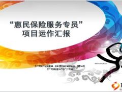 惠民服务专员项目成效背景要点流程汇报19页.ppt