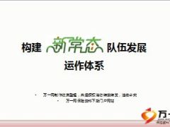 队伍发展常态运作体系优化背景内容要求76页.ppt