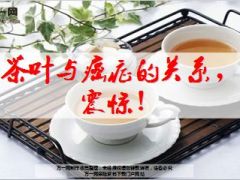 健康专题茶叶与癌症的关系15页.ppt