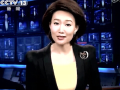 视频CCTV董事长涉嫌挪用300万逃亡国外看不起病回国自首在国外没保险寸步难行.rar
