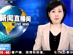 视频CCTV2014年保费收入突破2万亿元大关.rar