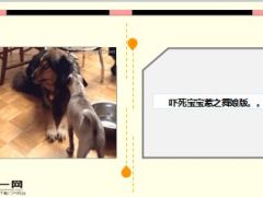 每日快乐早会15年10月16日使用15页.ppt