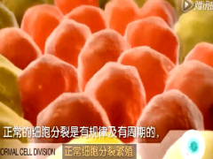 视频请看癌细胞形成过程.rar