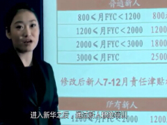 视频新华首届高峰会会长分享.rar