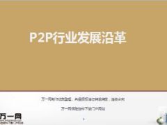 专题P2P行业发展沿革17页.ppt