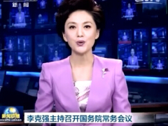 视频新闻联播李克强主持召开国务院常务会议发展保险业.rar