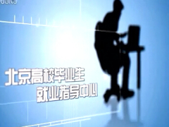 视频保险从业人员工作状况介绍.rar