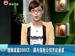 视频马航事件理赔或超3000万国内保险公司开启通道.rar