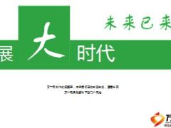 大学生个险团队建设汇报材料31页.ppt