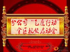 2015分公司视频启动会流程26页.ppt