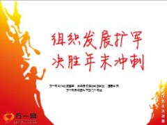 十一月组织发展业务推动销售支持工作安排43页.ppt
