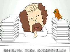视频了解禽流感.zip
