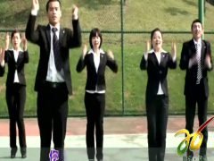 视频手语操晨操最炫民族风.zip