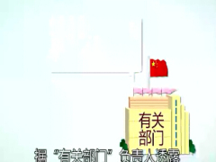 视频人人都是纳税人.zip