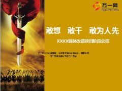 弱体营销网点改造项目阶段总结28页.ppt