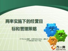 两率概述意义建议及实施下公司经营目标和管理策略46页.ppt