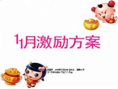 11月方案追踪电销版30页.ppt