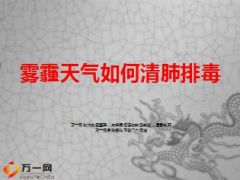 雾霾天气如何清肺14页.ppt