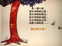2015感恩节专题常怀感恩之心含备注31页.ppt