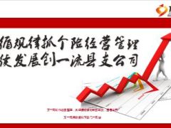 县支公司个险经营管理工作汇报27页.ppt