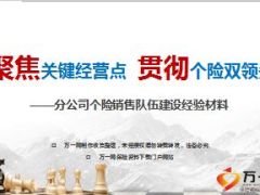 分公司个险销售队伍建设经验材料41页.ppt