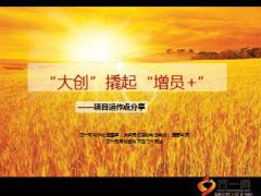 网点创说会项目运作增员分享报告18页.ppt