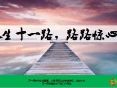 路路惊心人生十一路13页.ppt