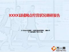 县域网点经营状况调研报告34页.ppt