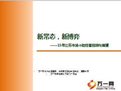 15年江苏市场个险业务经营回顾与展望28页.ppt