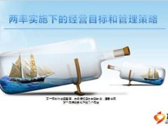 两率实施下的经营目标和管理策略28页.ppt