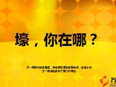 中国土豪的财富保障与传承10页.ppt