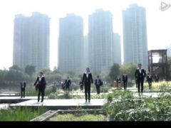 视频鸭子舞晨操.rar