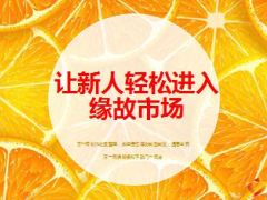 让新人轻松进入缘故市场22页.ppt