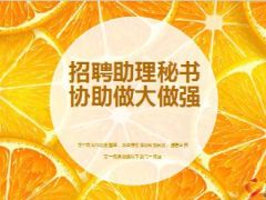 主管招聘助理秘书情况介绍6页.ppt