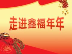 中国人寿2015开门红主打产品鑫福年年介绍宣导亮点解析26页.ppt